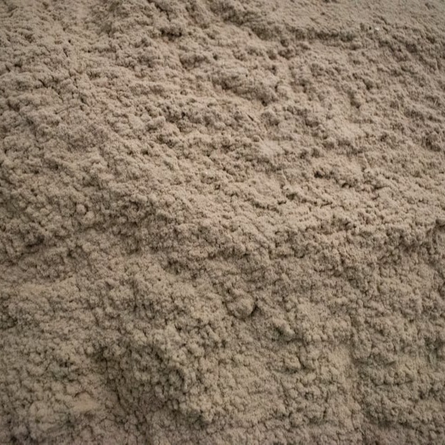 Biyoremidasyon Nedir?